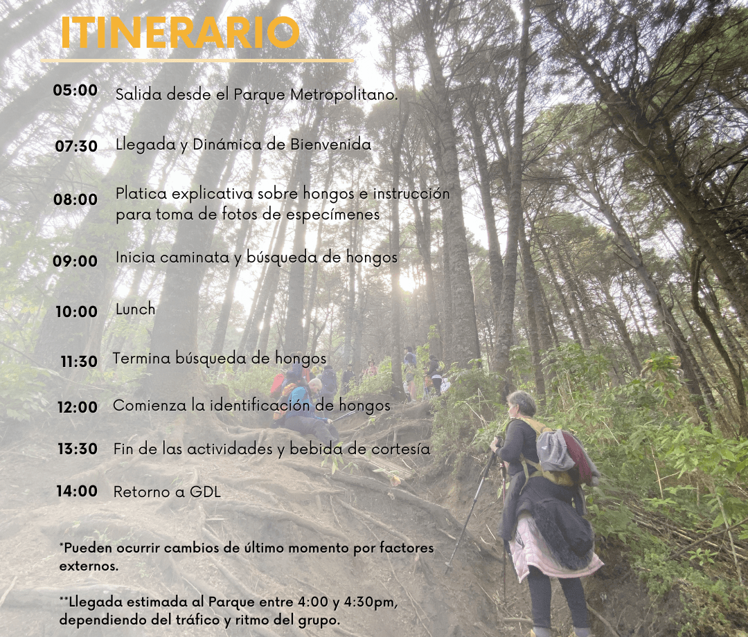Itinerario