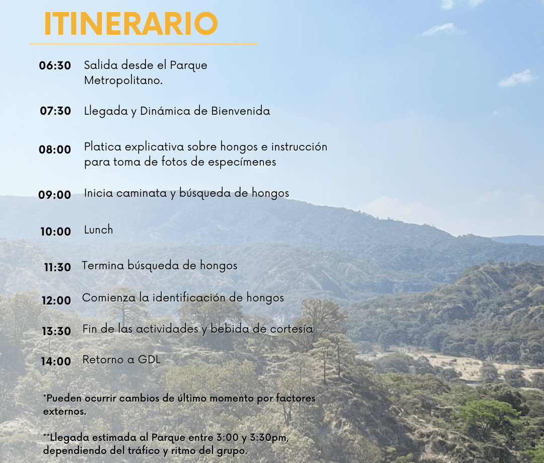 Itinerario