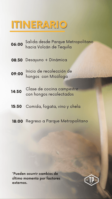 Itinerario