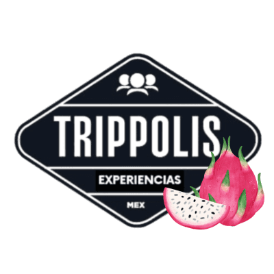 Icono Ruta Pitaya Express