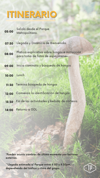 Itinerario