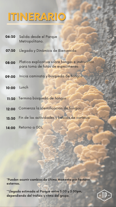 Itinerario