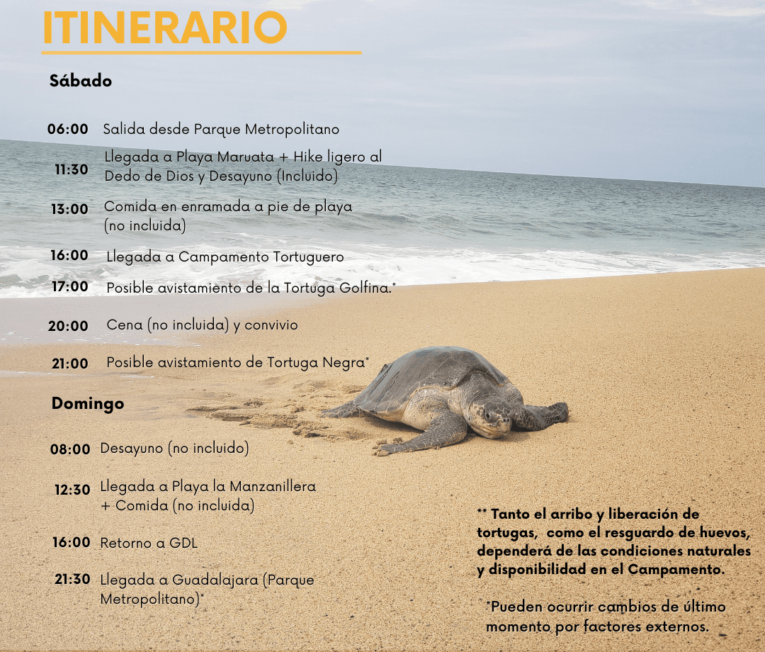 Itinerario
