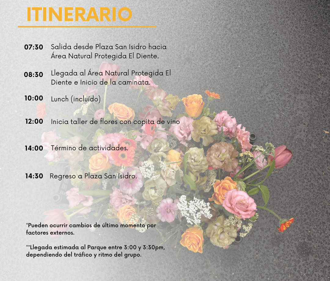 Itinerario