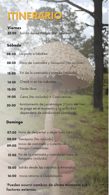 Itinerario