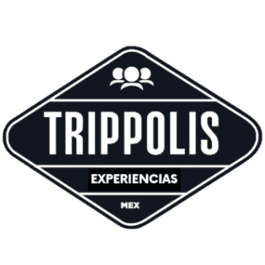 Icono Ruta Zapopan Nocturna