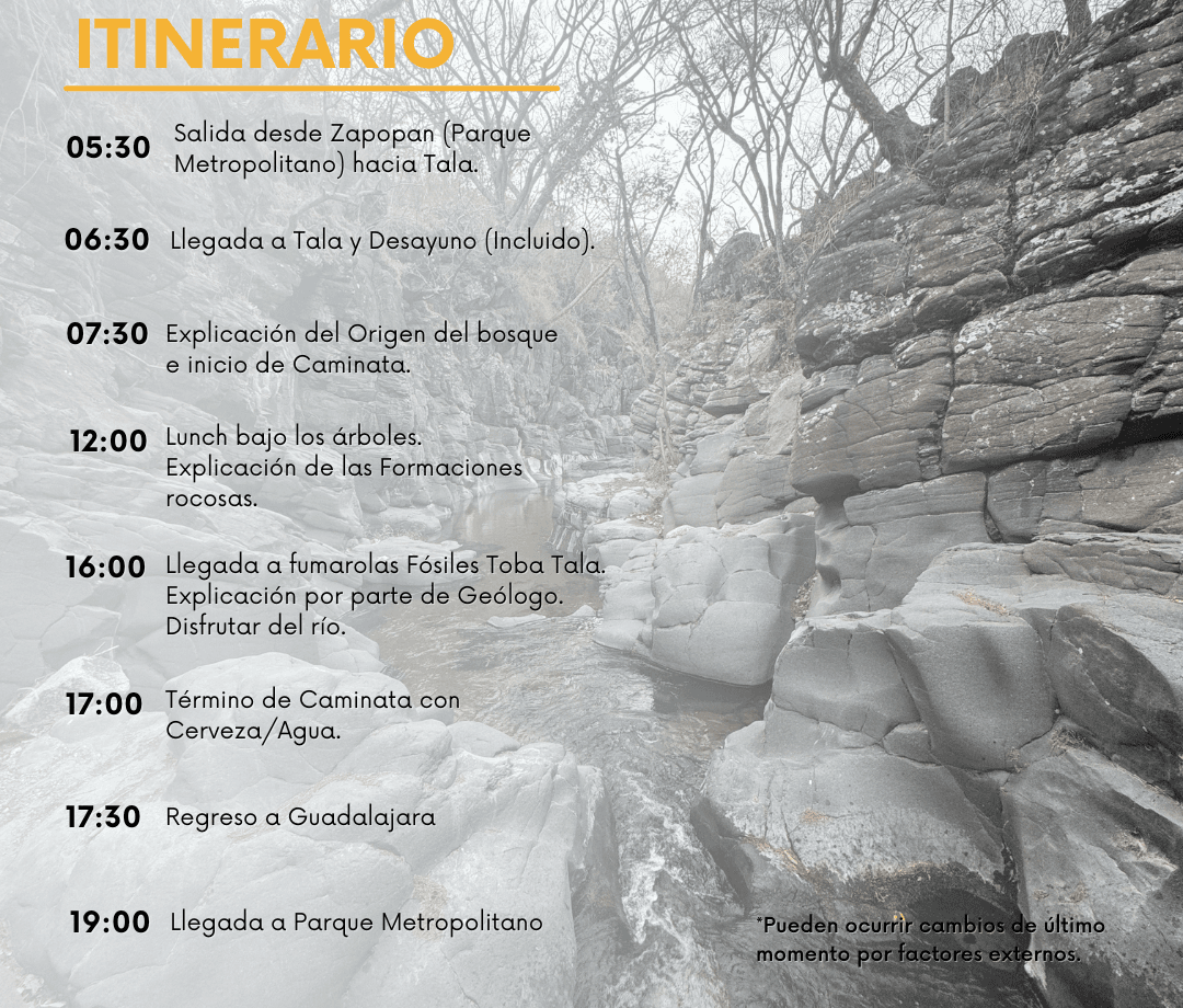 Itinerario