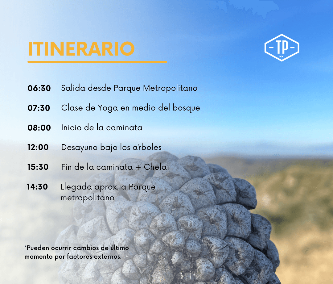 Itinerario